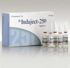 Induject-250 (Testosterone Blend)