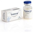Testocyp-10ml (Testosterone Cypionate)